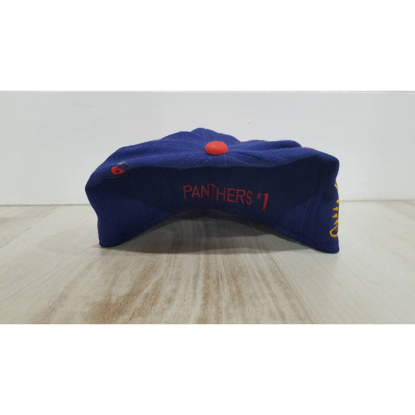 Vintage NHL Florida Panthers snap back FITTED 90s hockey