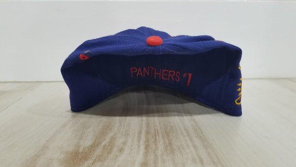 MENS - Worn Vtg FL Panthers Fitted cap